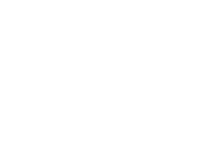SINOHOLDING GROUP